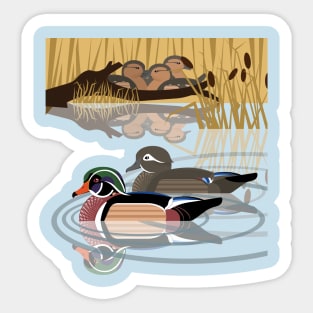 Carolina wood duck Sticker